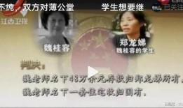 魏师傅爆料吐槽视频,短视频背后那些不为人知的辛酸与吐槽