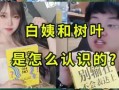 白姨新爆料视频大全集,揭秘娱乐圈幕后真相