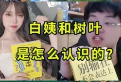 白姨新爆料视频大全集,揭秘娱乐圈幕后真相